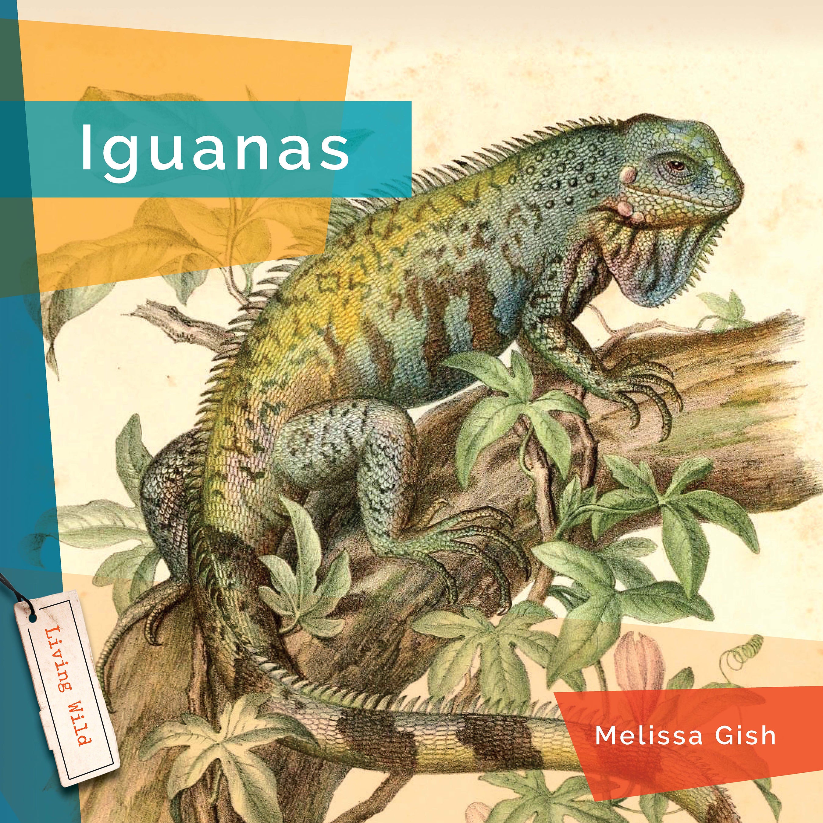 Iguanas - 9781640267886 - Reptile Pet Care Book for Iguana Owners - Perfect for Home & Classroom Learning