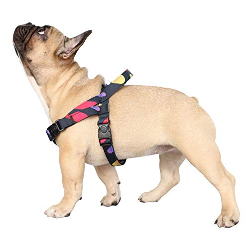 Polka Dot Harness