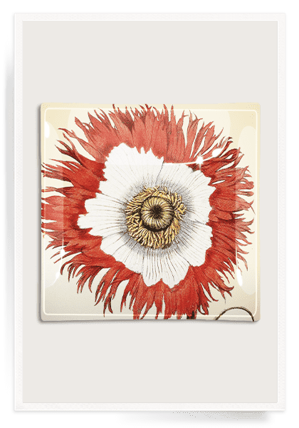 Vintage Poppy No. 2 Decoupage Glass Serving Tray - Floral Decorated Handmade Tray for Coffee Table, Dining, and Home Decor - Perfect for Breakfast in Bed, Tea Parties & Gift Giving