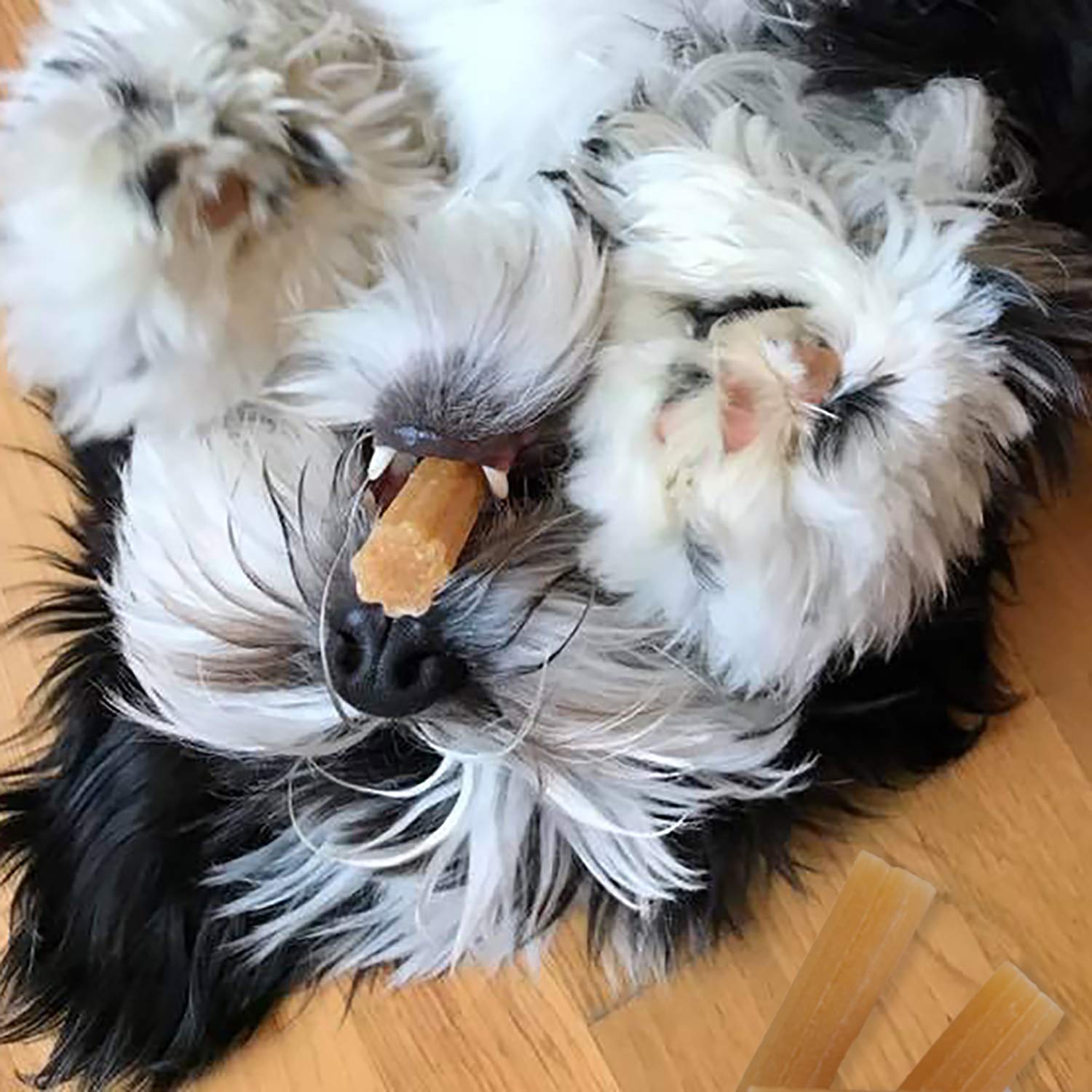 Yaky CHURRO Himalaya Cheese Dog Treats - Lactose Free, Gluten Free, Grain Free, Made in USA - All Natural Chews for Small, Medium & Large Breeds - 4 Cheese Flavored CHURROs per Pouch - Perfect for Training Rewards & Dental Health