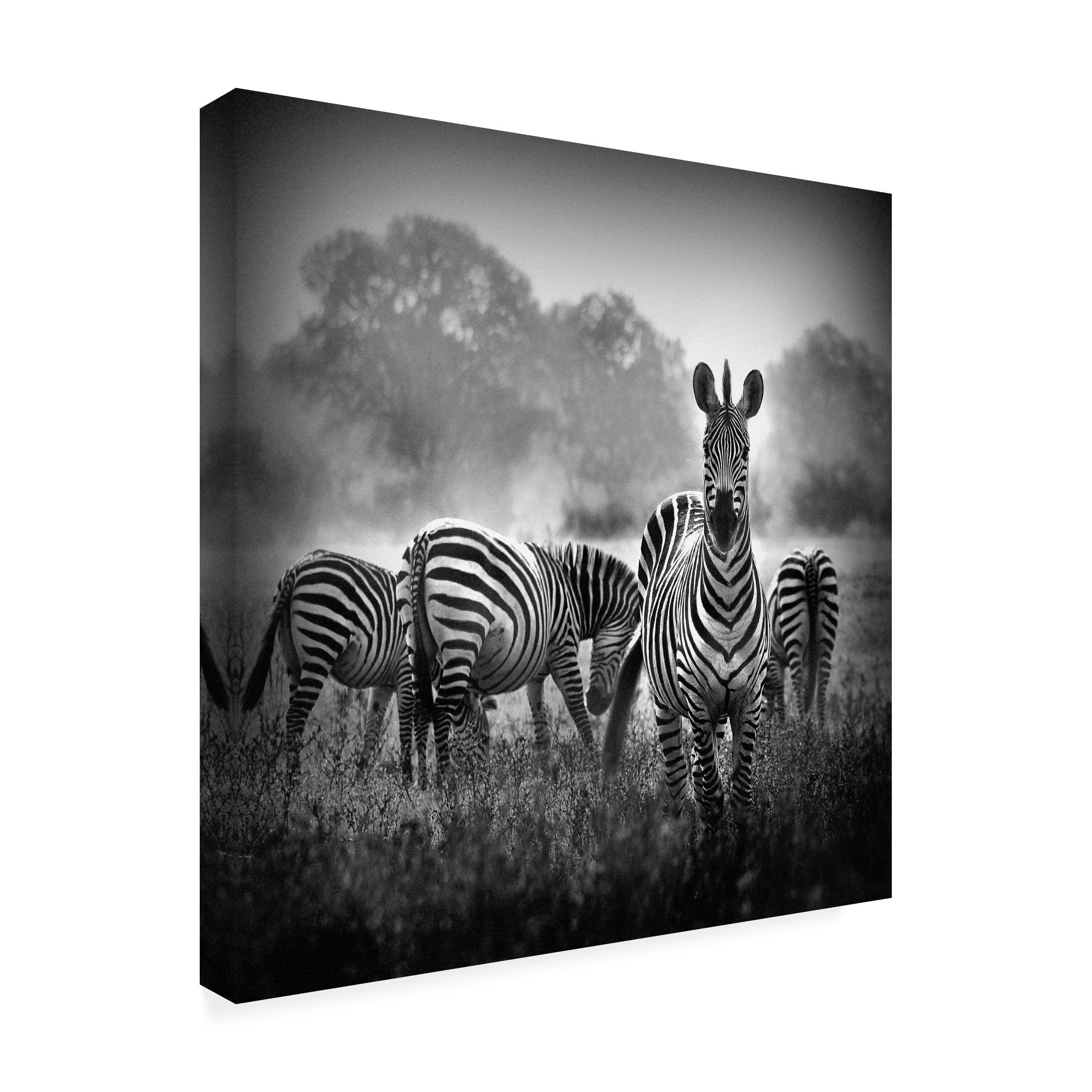WildPhotoArt 'Stallion In A Pin Stripe Suit' Canvas Wall Art Print - Modern Equestrian Home Decor for Living Room, Bedroom & Office