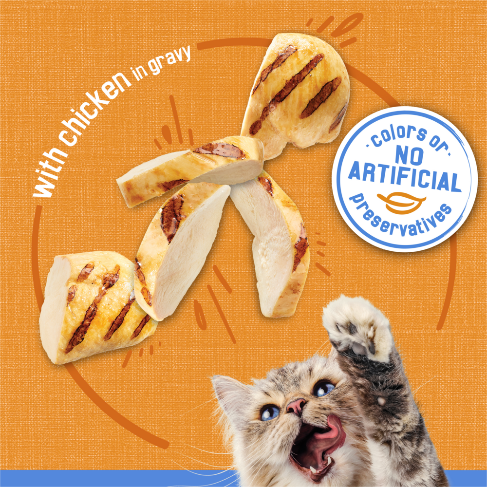 Friskies Savory Shreds with Chicken in Gravy Canned Cat Food - High Protein Wet Cat Food for Adult Cats - Perfect for Mealtime & Weight Management