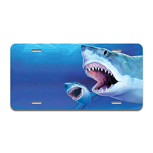 Great Whites