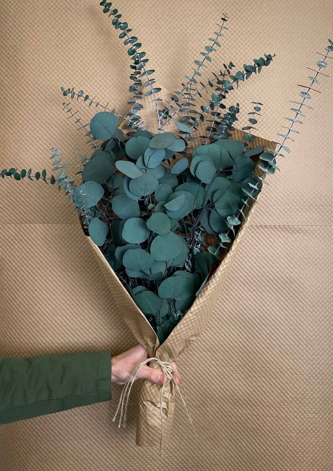 Andaluca Preserved Silver Dollar & Baby Eucalyptus Bundle - 8 oz Dried Floral Arrangement for Home Decor, Wedding Centerpieces, and Rustic Farmhouse Style