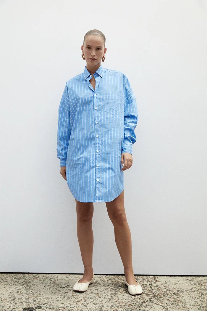 Stylish Blue Aster Dress for Women - Perfect for Casual Outings, Parties & Special Occasions