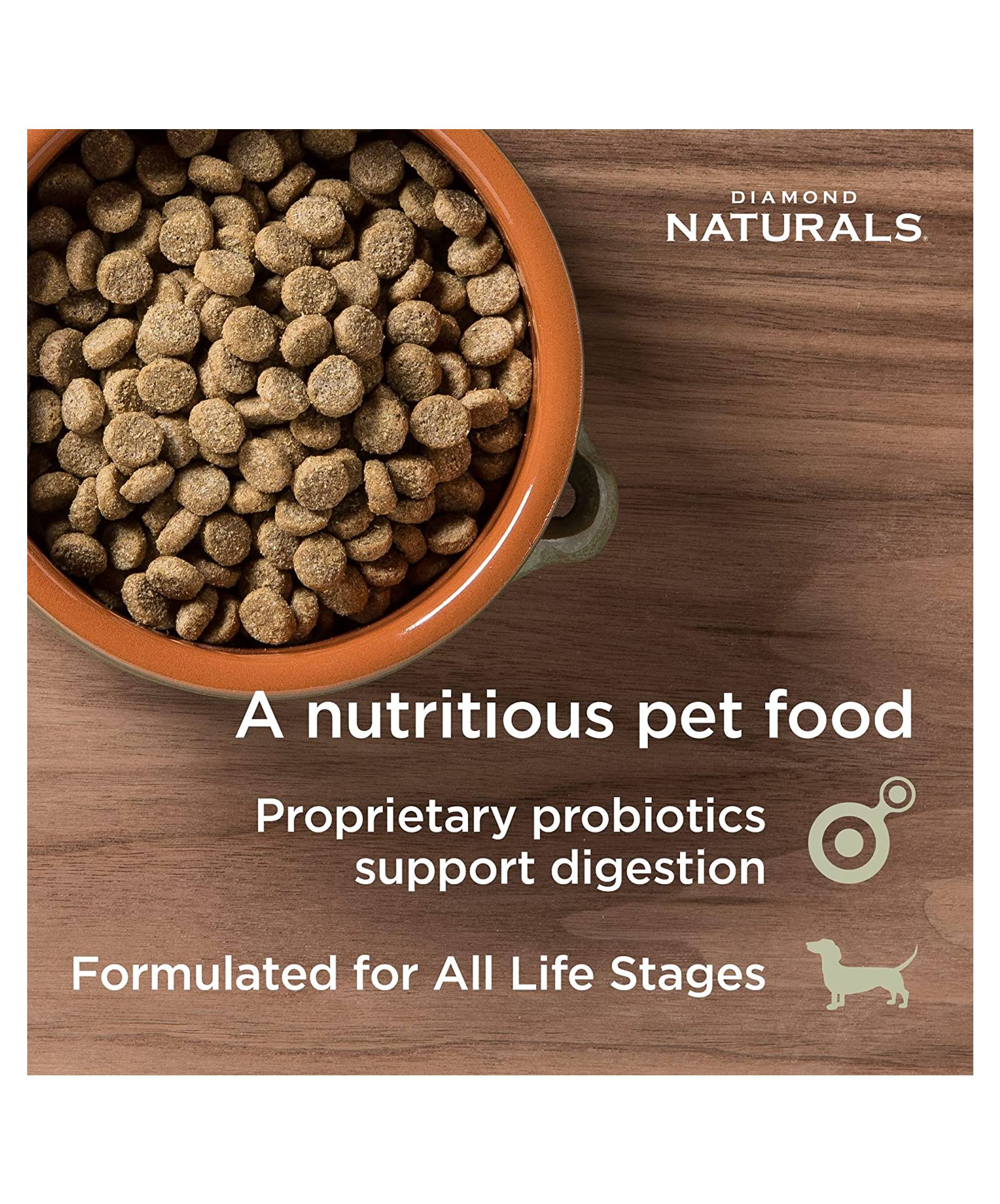 Diamond Naturals Skin & Coat Salmon & Potato Dry Dog Food - 6oz Sample Pack for Small & Medium Dogs | Grain-Free Formula for Healthy Skin & Shiny Coat | Perfect for Travel, Training & Treats