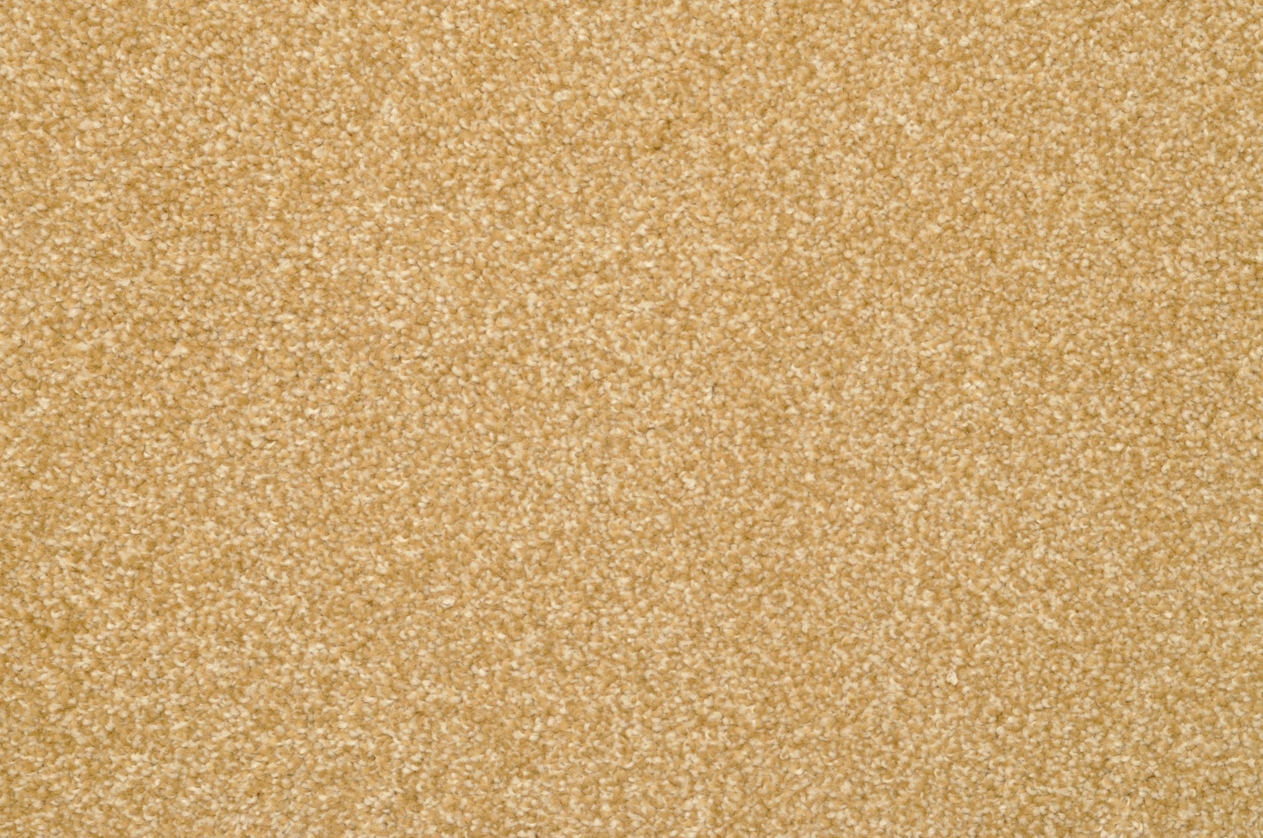Bithia - Premium Quality Product for Your Everyday Needs | Perfect for Home, Office & Travel Use