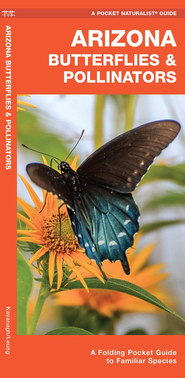 Arizona Butterflies & Pollinators: Folding Pocket Guide to Familiar Species - North American Nature Observation & Field Identification for Hiking, Gardening & Wildlife Enthusiasts