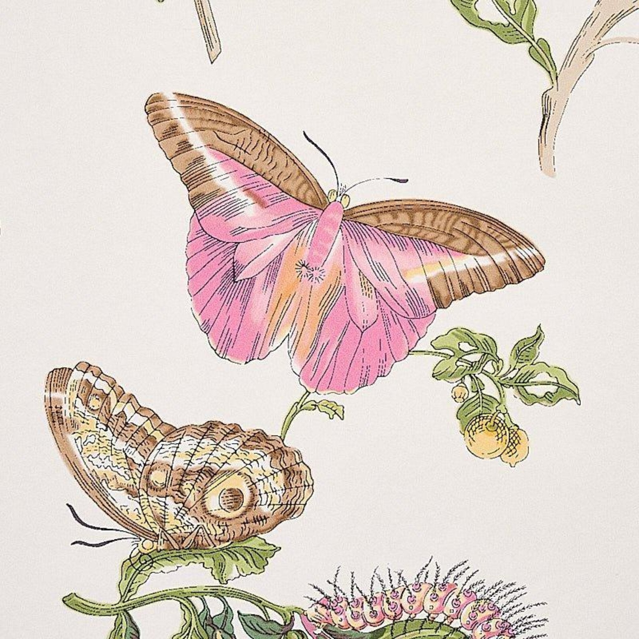 Baudin Butterfly Wallpaper in Blush Pink - Floral Peel and Stick Removable Wallpaper for Bedroom, Nursery, Living Room Decor