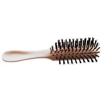 Bulk Buys Adult Hair Brush Set - 288 Pack for Salons & Stylists | Professional Hair Care Tools for Detangling, Styling & Smoothing