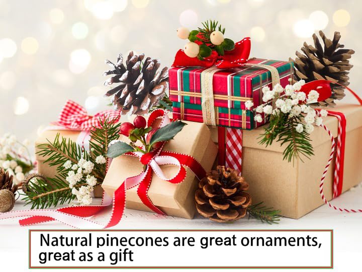 Natural Pine Cones Decorations for Christmas Tree - 24PCS Rustic Pinecones (1.5-2.4 Inch) with Wired Picks for Holiday DIY Crafts, Home Party Decor, and Festive Centerpieces