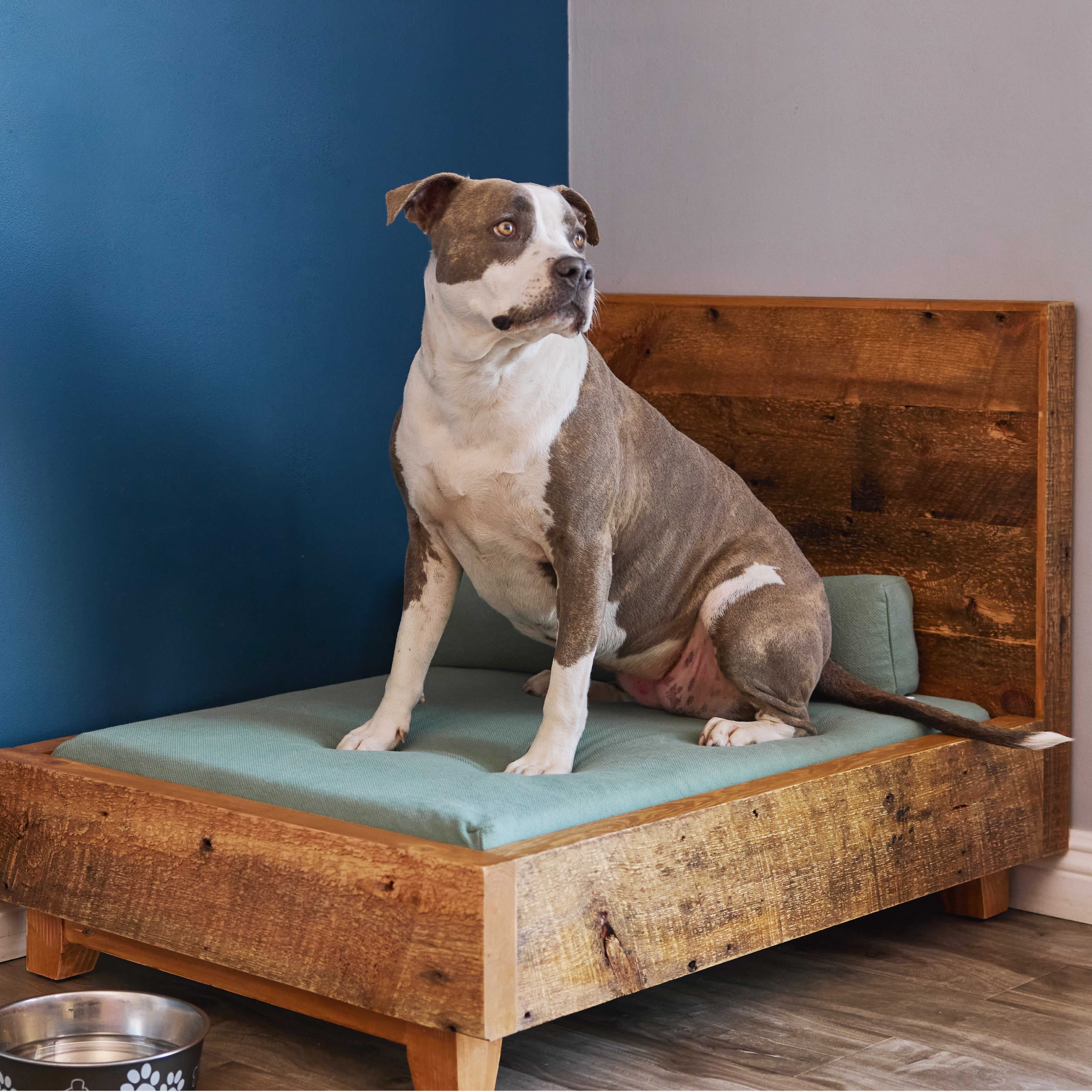 Premium Elevated Dog Bed Frame - Orthopedic Support for Large & Small Dogs - Indoor & Outdoor Use - Perfect for Kennels, Crates, and Home Comfort
