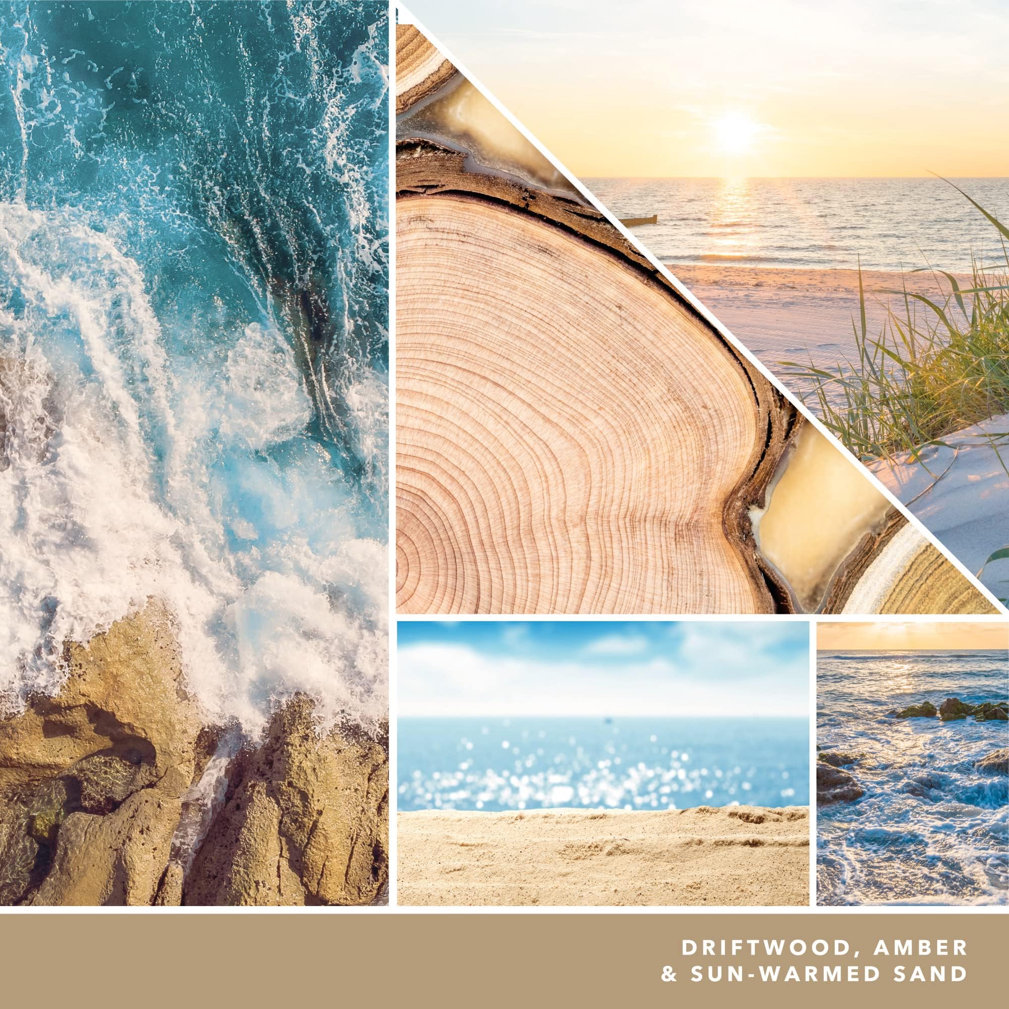 Yankee Candle Seaside Woods Medium Signature Jar Candle - 14.5oz Scented Candle for Home, Relaxation & Aromatherapy - Perfect for Living Room, Bedroom & Bathroom Decor