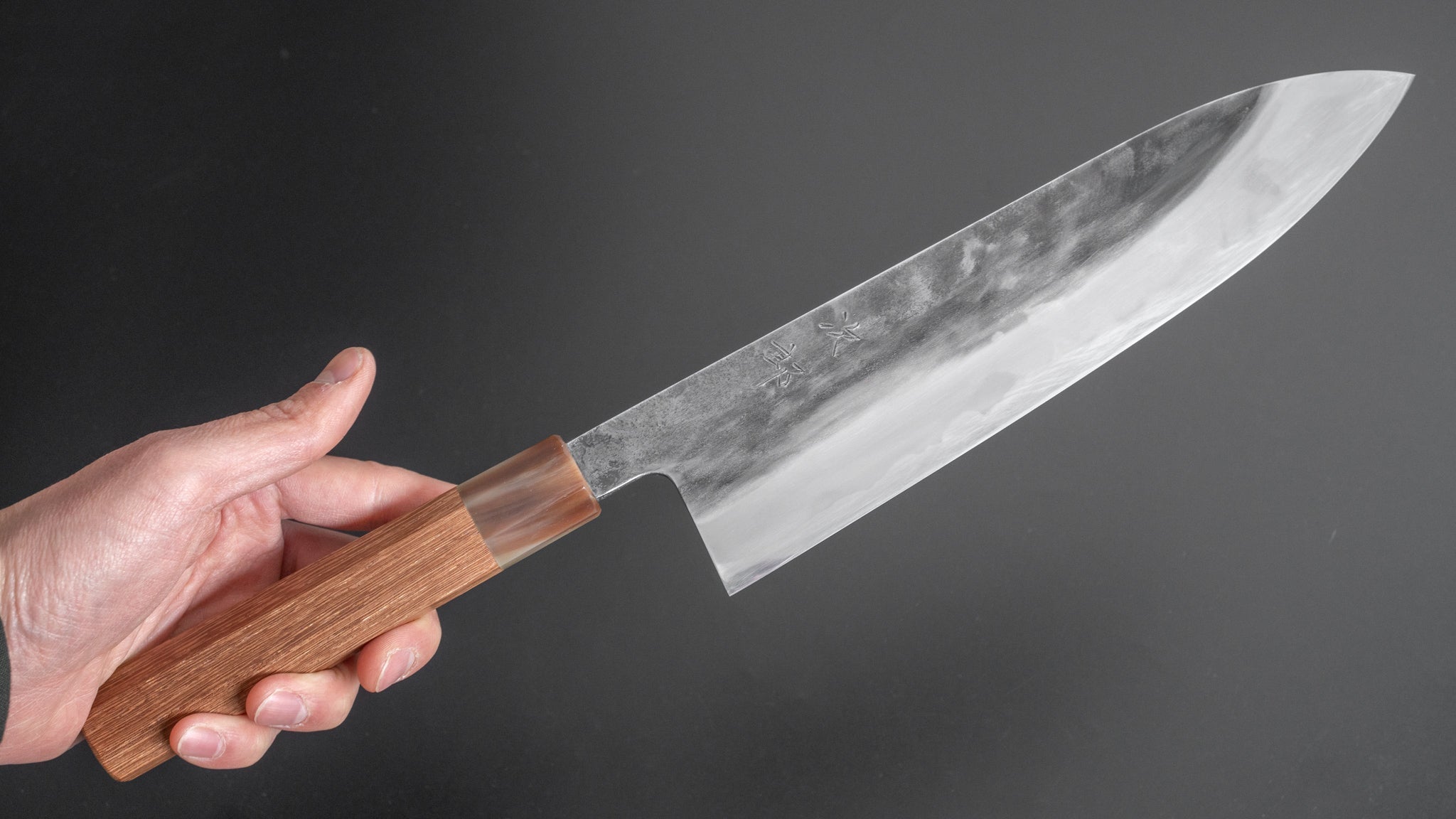 Premium Jiro Tsuchime Wa Gyuto 240mm Japanese Chef Knife with Taihei Tagayasan Handle (#217) - Perfect for Sushi, Meat Slicing & Professional Kitchen Use