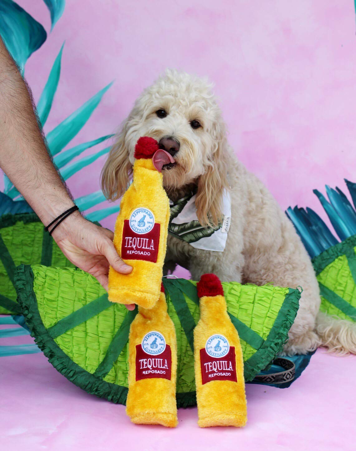 ZippyPaws Happy Hour Crusherz - No Stuffing Crinkle & Squeaky Dog Toy for Small and Large Dogs - Tequila Themed Pet Chew Toy (Pack of 1) - Perfect for Playtime, Training Rewards and Interactive Fun