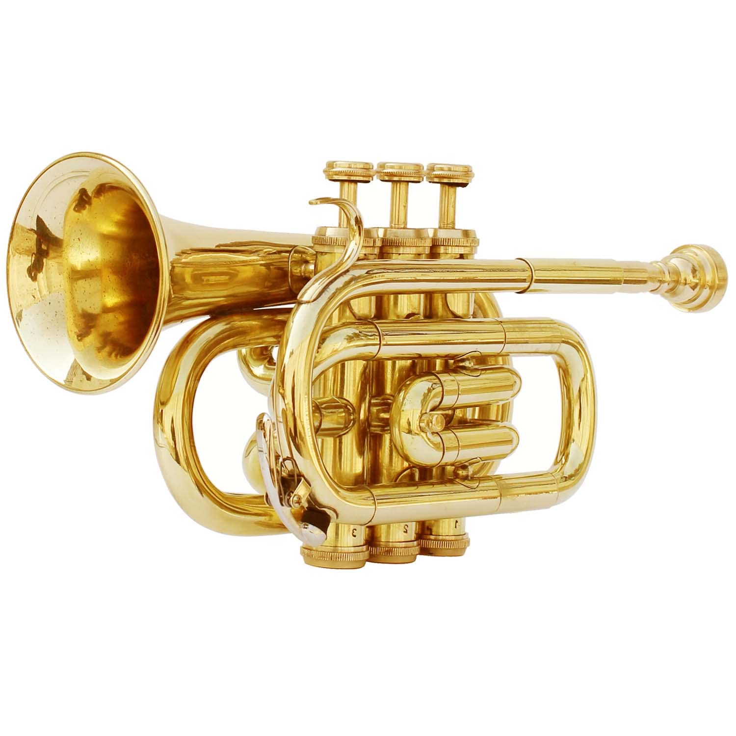 Professional Bb Pocket Trumpet Brass Instrument with Free Hard Case & Mouthpiece - Perfect for Beginners, Travel & Practice | Best Musical Gift for Students & Jazz Enthusiasts