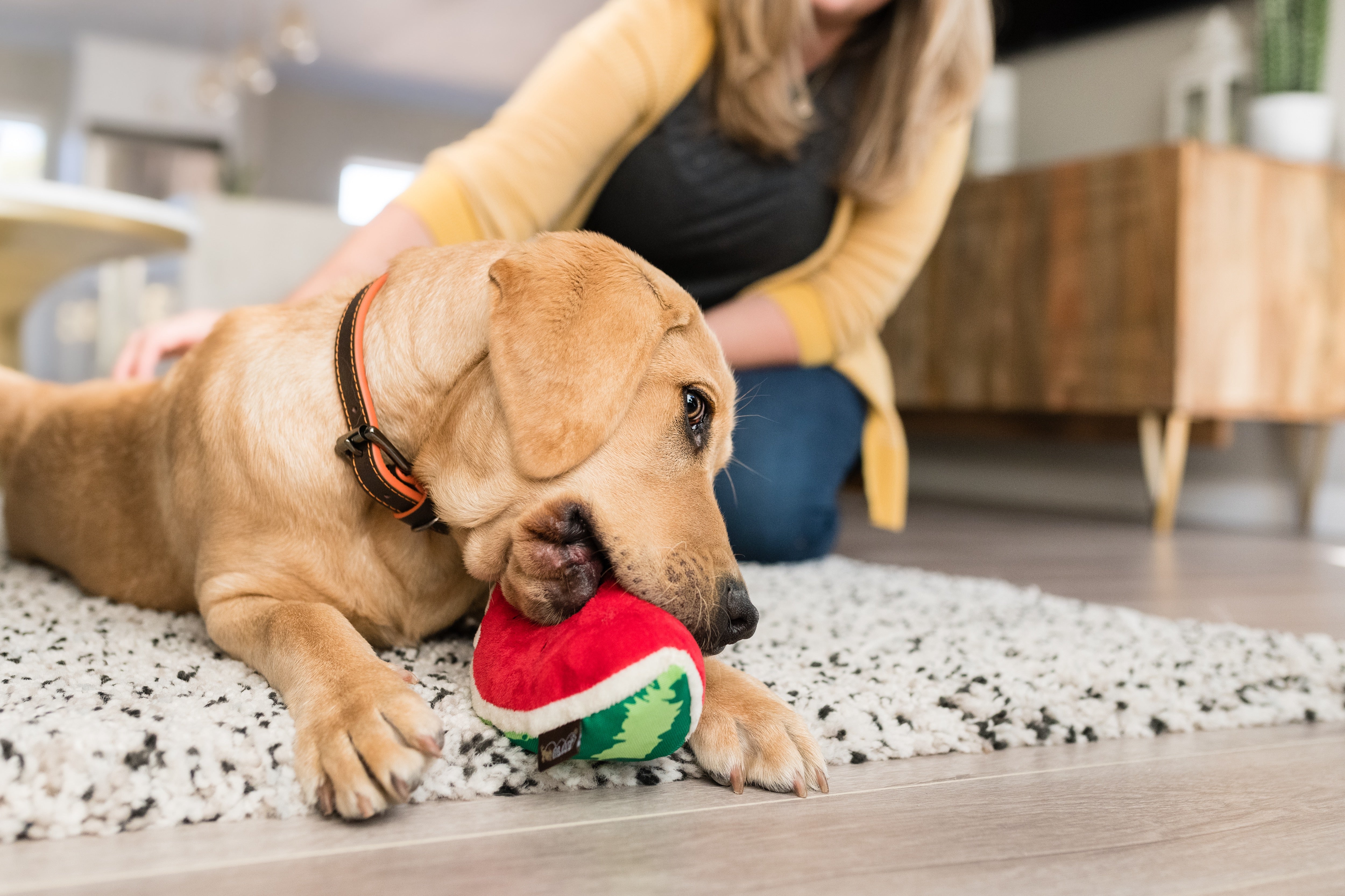 Tropical Paradise™ Watermelon Dog Plush Toy - Durable & Fun Chew Toy for Small & Large Dogs | Perfect for Playtime, Training & Cuddling | Pet P.L.A.Y.