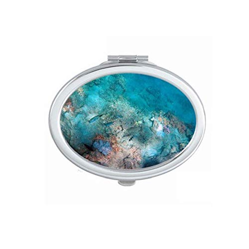 DIYthinker Ocean Colorful Fish Science Nature Picture Mirror - Portable Foldable Double-Sided Makeup Mirror with Stand for Travel, Home Vanity & Dorm Room Decor