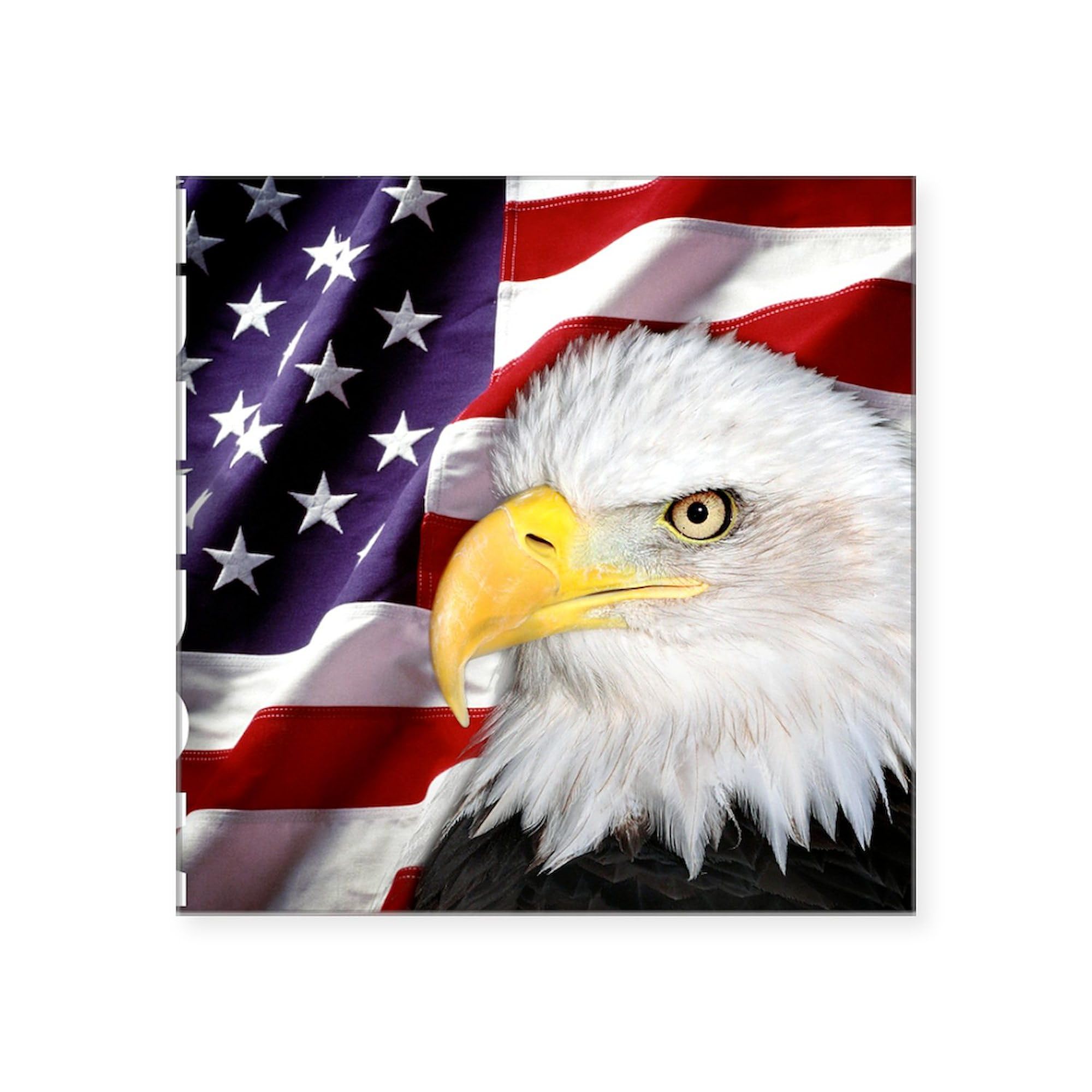 Freedom Flag & Eagle Square Bumper Sticker 3