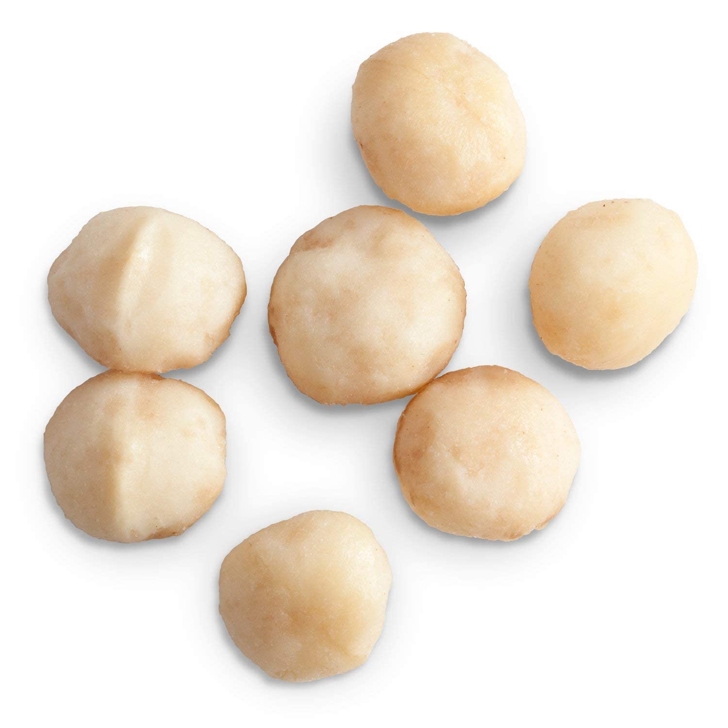 Roasted & Salted Macadamia Nuts - Raw, Natural, Non-GMO, Gluten-Free, Healthy Fats - Perfect for Snacking, Emergency Food Supply & Survival Kits - 8oz Half-Pound Bag
