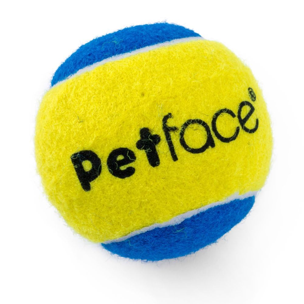 Petface Super Tennis Balls for Dogs - Durable Chew-Proof Fetch Toy for Large & Small Breeds - Perfect for Outdoor Play, Training & Exercise