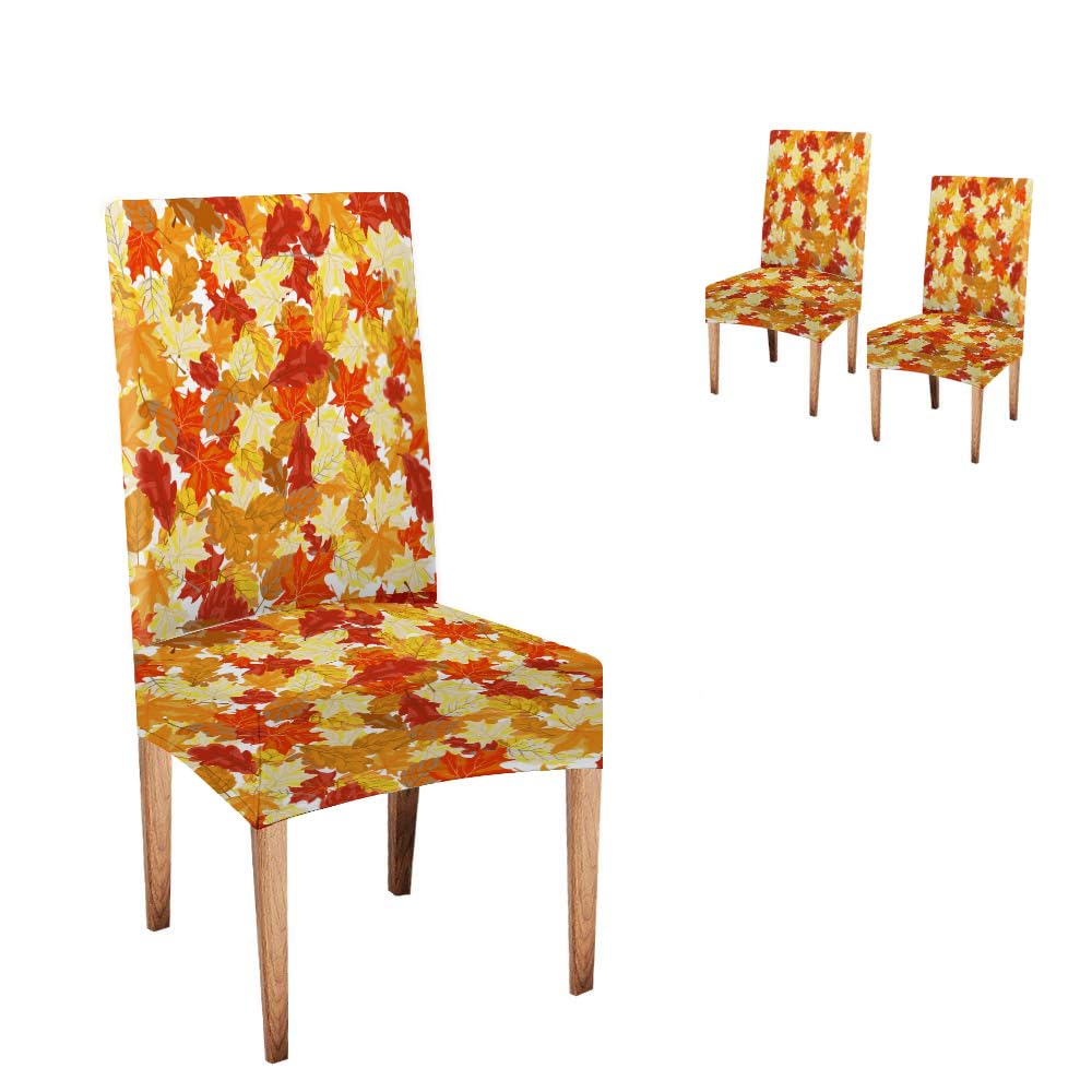 EMMTEEY Autumn Maple Leaves Chair Covers Set of 2 - Stretch Spandex for Dining & Living Rooms