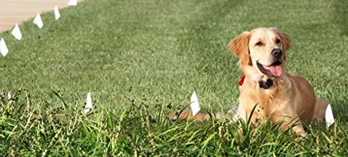 Premium Dog Fence Wire Setup Kit - 500ft 14 Gauge Electric Fence Wire with 50 Training Flags, 100 Staples & 2 Pro Splice Kits | Covers 1/2 Acre | Universal Compatibility with All Invisible Dog Fence Brands | Perfect for Backyard Pet Containment & Training