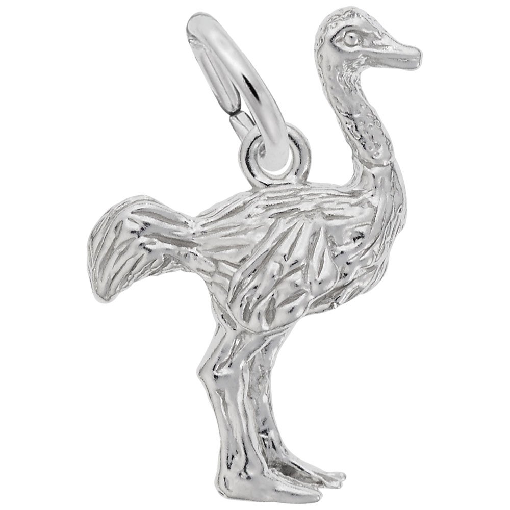 Ostrich Charm for Jewelry Making - Elegant Bracelet & Necklace Pendant for DIY Crafting & Gift Giving