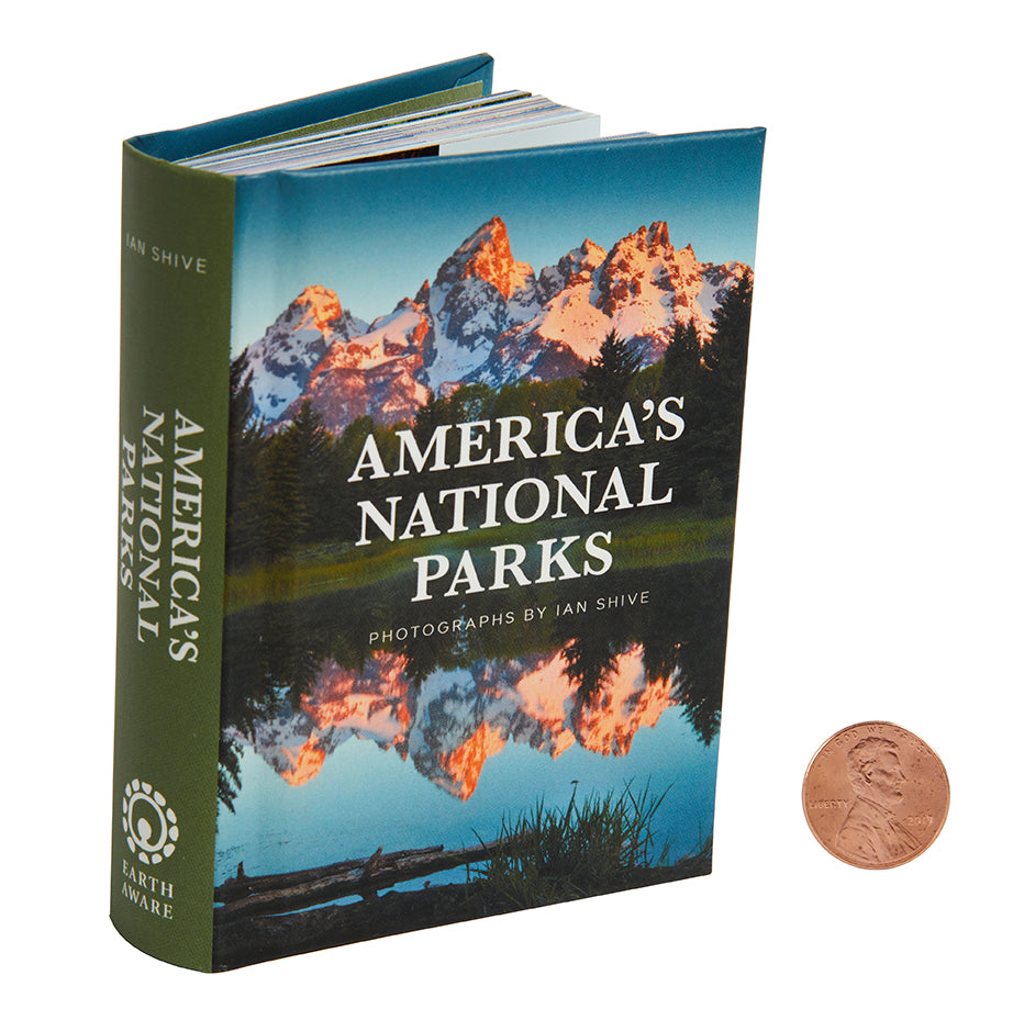 Explore America's National Parks - Top Scenic Hiking & Camping Destinations for Outdoor Adventures