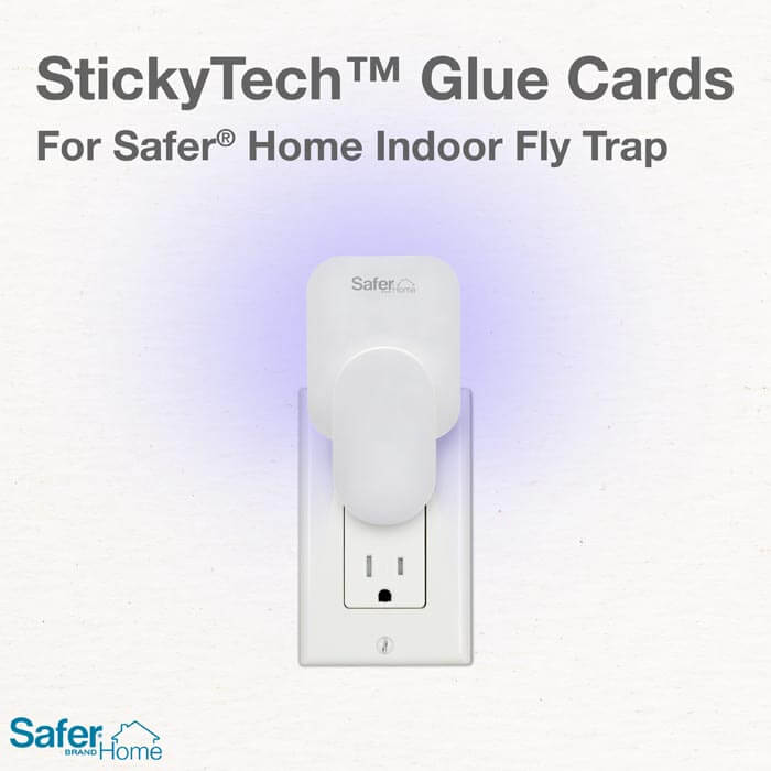 Safer Home Indoor Fly Trap Refill Glue Cards - Sticky Traps for House Flies, Fruit Flies & Gnats | Non-Toxic Pest Control for Kitchen, Bedroom & Office