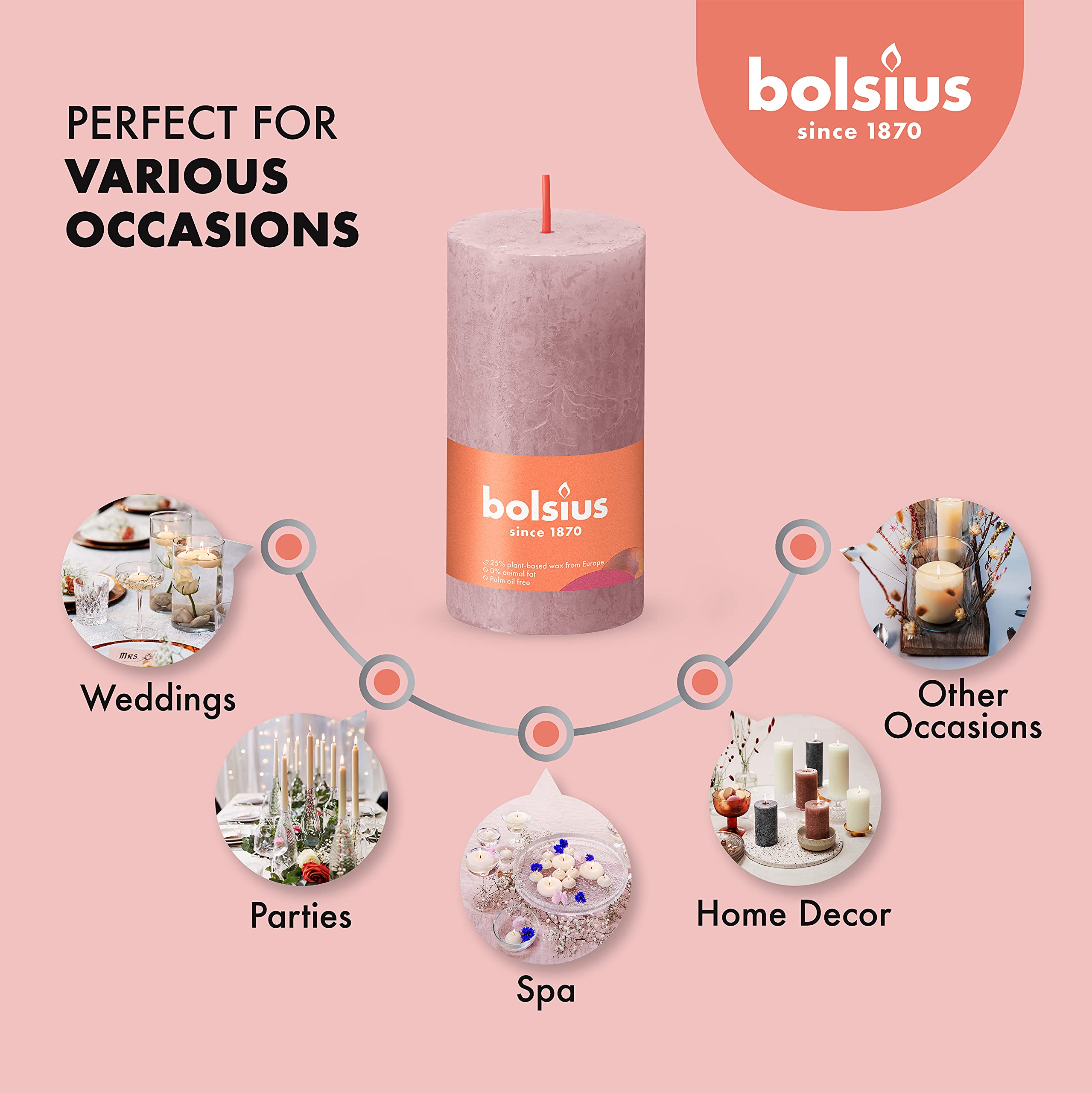 BOLSIUS 4 Pack Ash Rose Rustic Pillar Candles - 2 X 4 Inches - Premium European Quality Unscented Dripless Smokeless Candles with Natural Plant-Based Wax - 30 Hour Burn Time for Wedding, Party, Home Décor & Romantic Ambiance