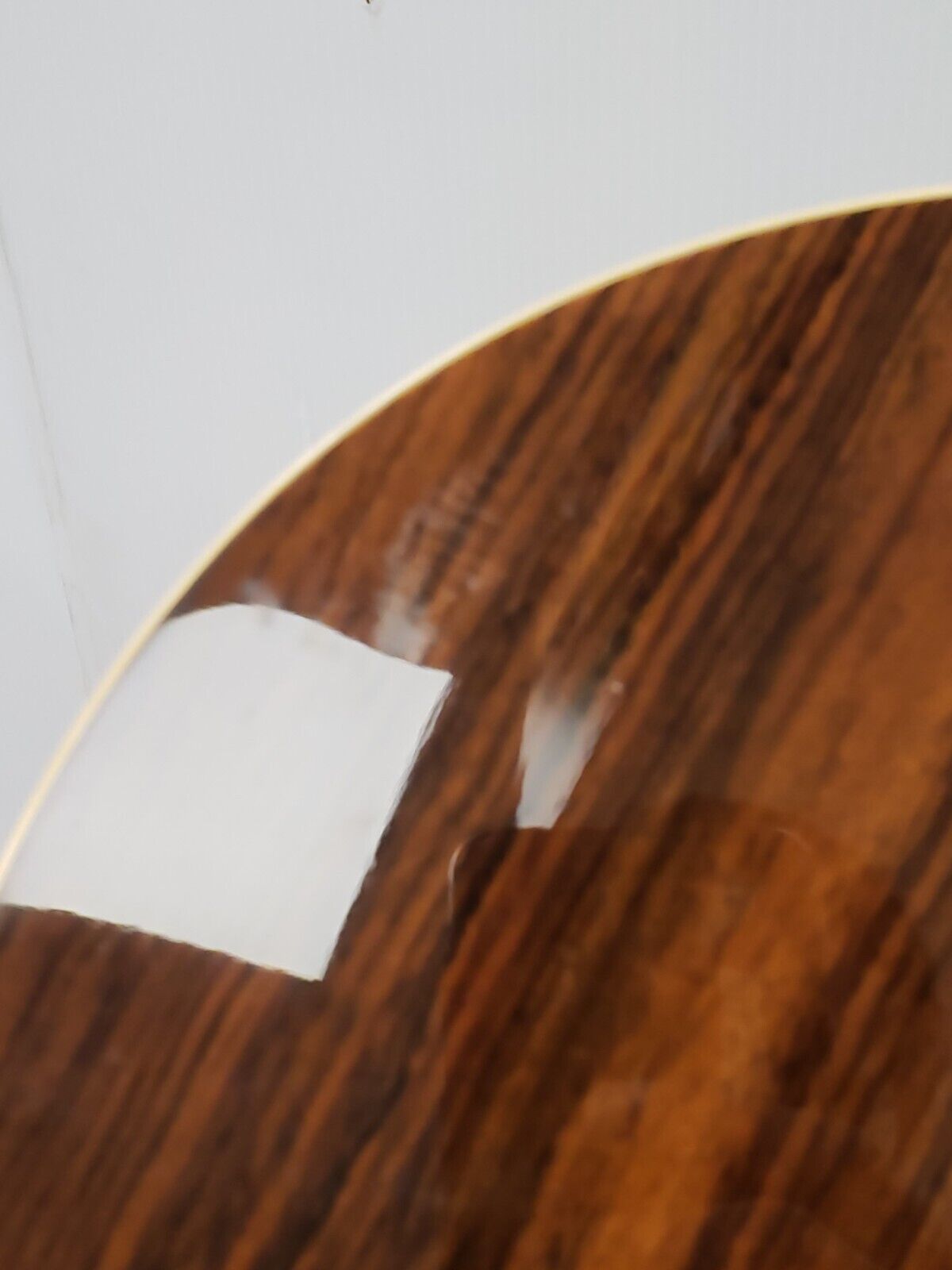 Seagull 22601 Acoustic Guitar - Premium Handcrafted Solid Wood Guitar for Beginners & Professionals - Perfect for Home, Studio & Live Performances