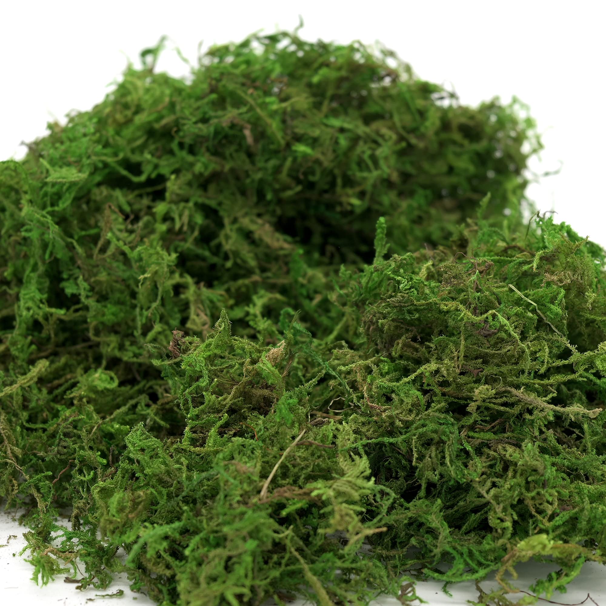 Usmola Artificial Fake Moss - 8OZ Realistic Green Craft Moss for Potted Plants, Centerpieces, Terrariums & DIY Home Decor - Perfect for Fairy Gardens, Floral Arrangements & Tabletop Displays