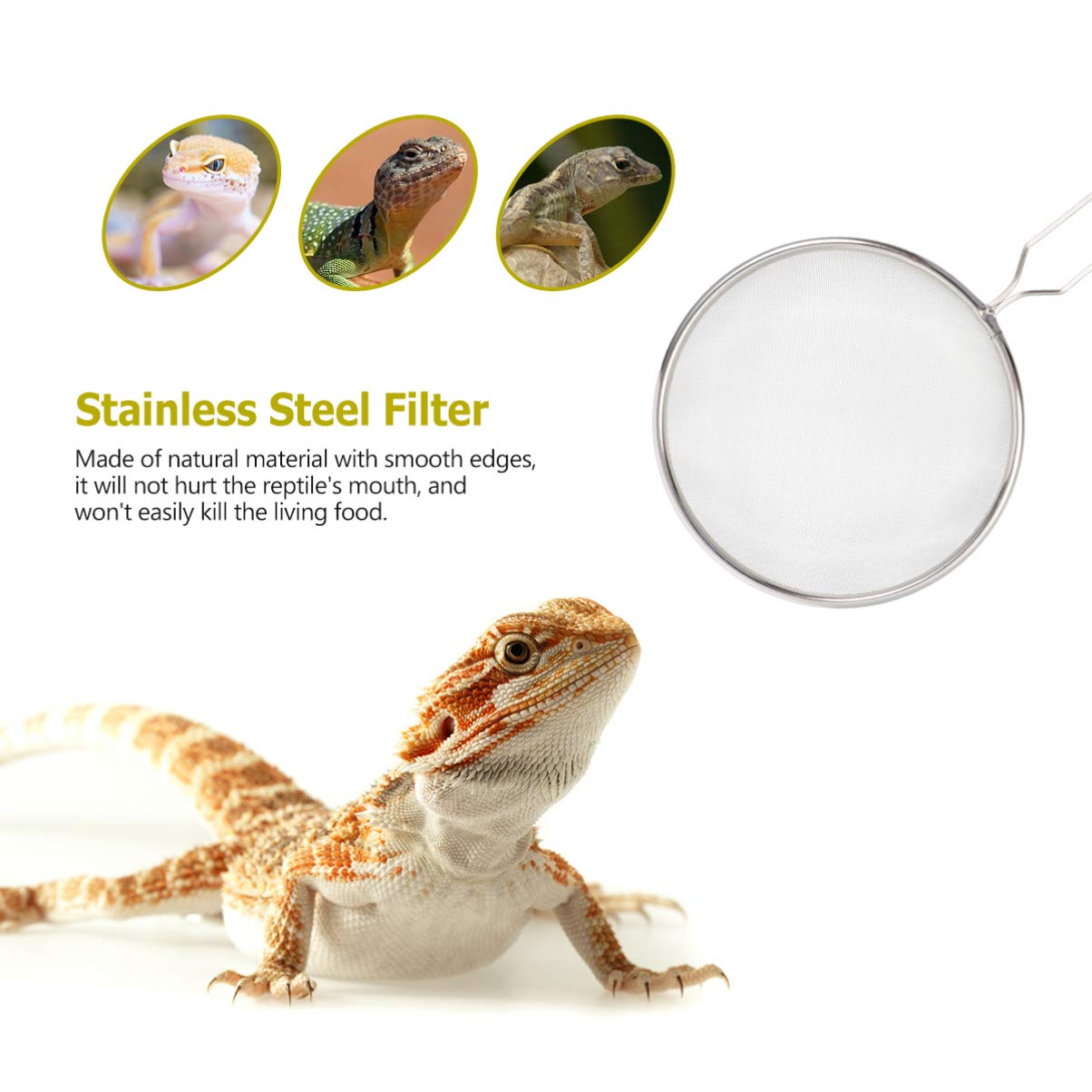 Balacoo Stainless Steel Pet Sand Shovel & Mesh Filter - Reptile Cleaning Tool with Sieve for Terrarium, Litter Box & Habitat Maintenance | Durable Reptile Supplies for Easy Sand Sifting & Waste Removal