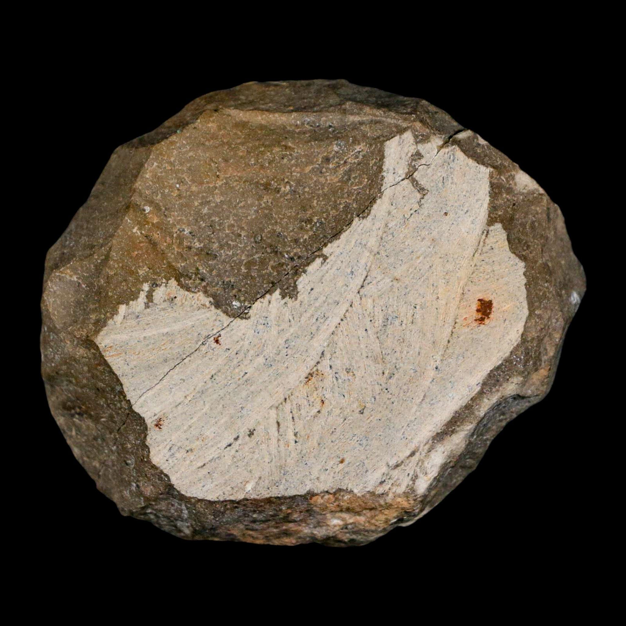 2.5