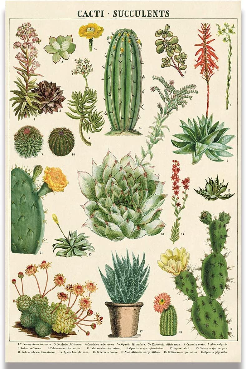The Green Inspiration: A Story of Transformation