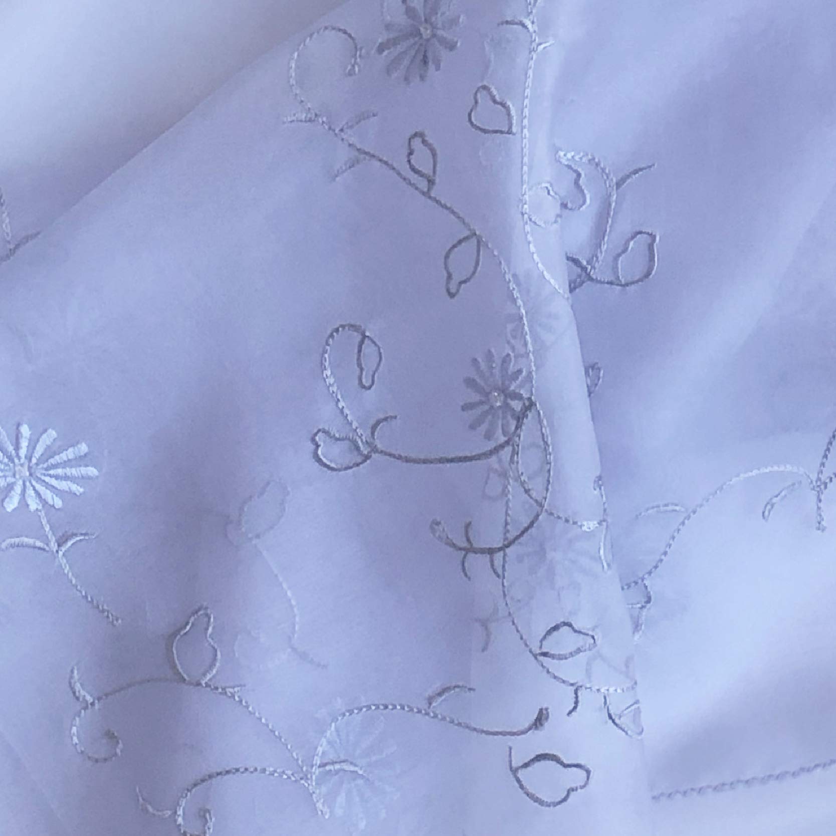 Elegant Silk Organza Shawl 76