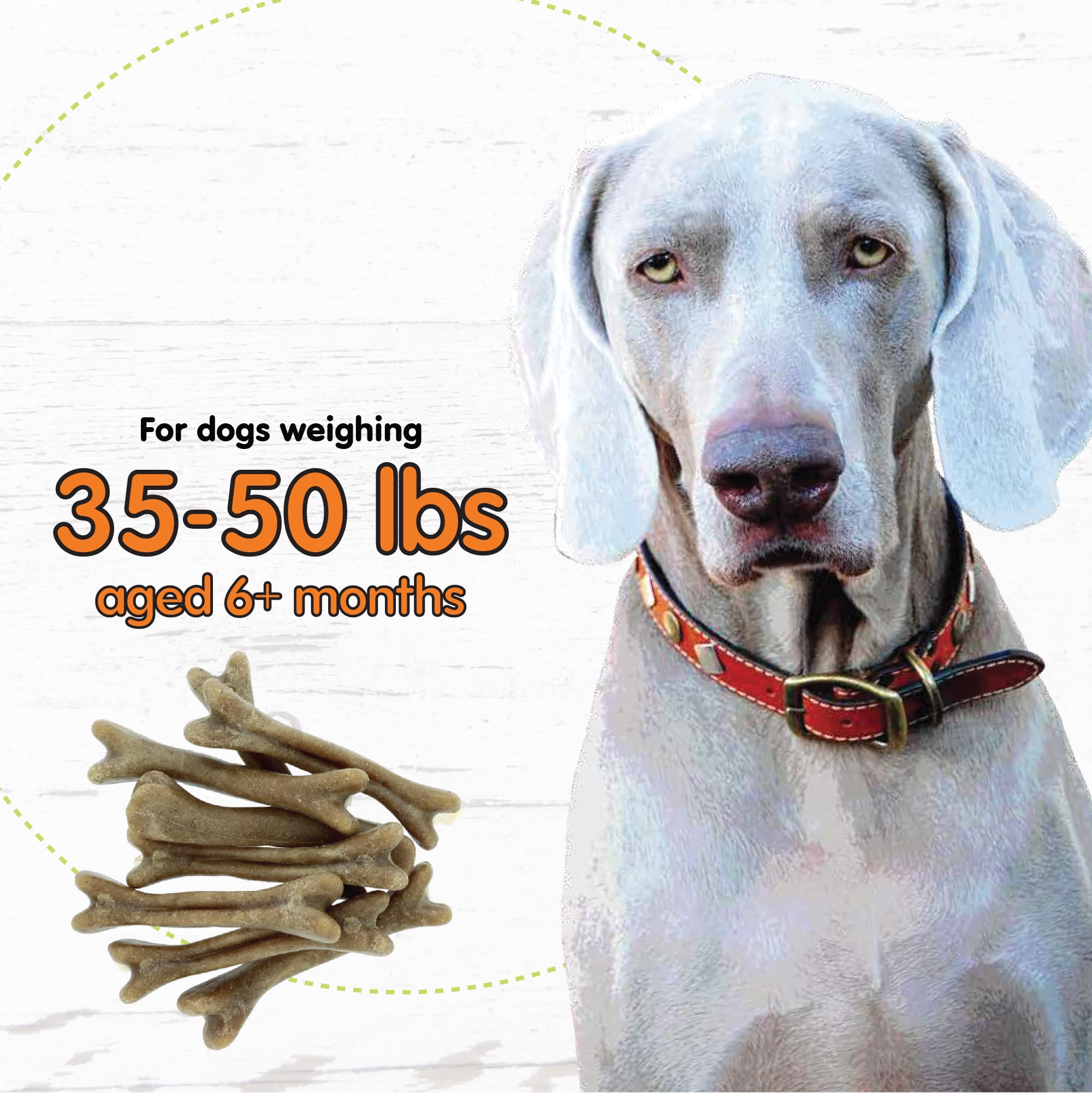 Super Breath Dental Care Bones for Dogs - 8 Treats Per Pack (3 Pack) - Made in USA Dog Dental Treats for Medium Breeds - Reduces Plaque & Tartar, Freshens Breath - Perfect for Daily Oral Care & Training Rewards