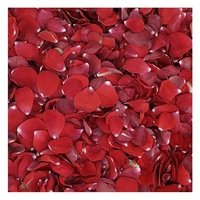 3600 Valentine's Red Rose Petals - 60 Cups Natural Fresh Bridal Rose Petals for Wedding Decor, Romantic Proposals & Anniversary Celebrations - Small to Medium Size Petals for Aisle, Table Scatter & Bath Decor