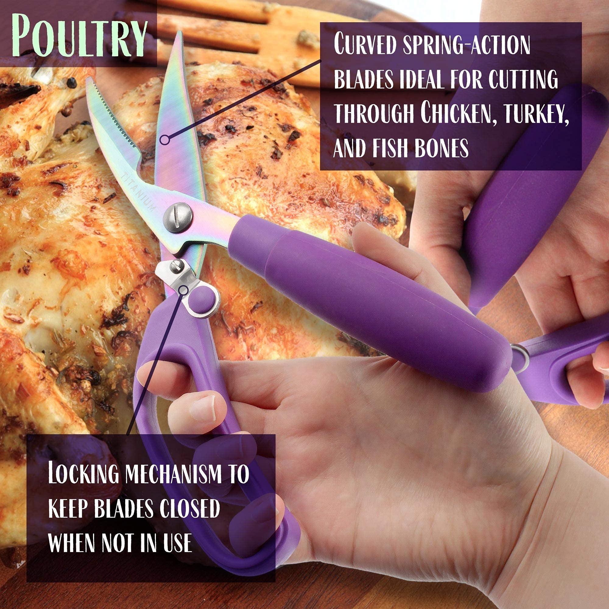Premium 5-Piece Stainless Steel Scissors Set for Kitchen, Crafting & Office Use - 10 Pack Bulk - Perfect for Food Prep, DIY Projects, Paper Cutting & Gift Wrapping