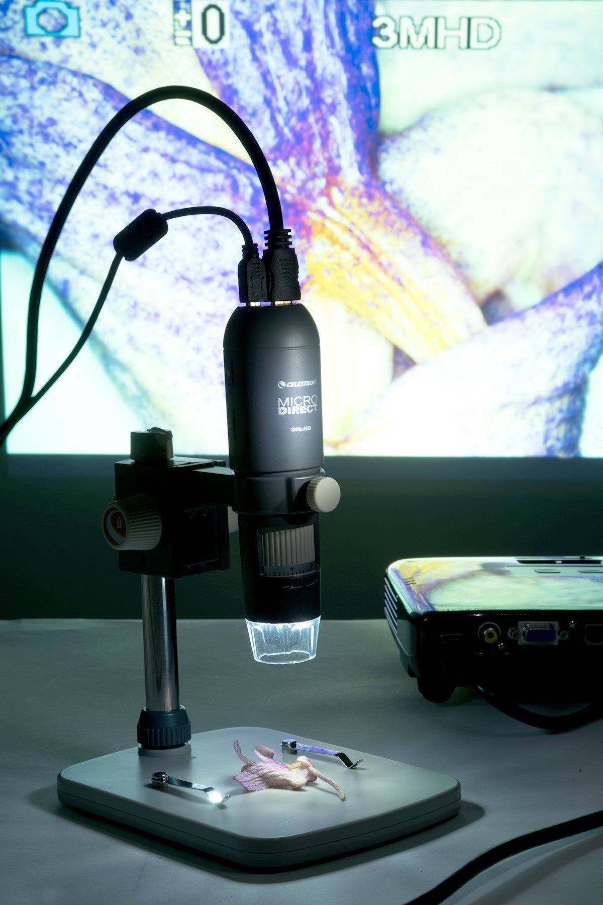 MicroDirect 1080P HDMI Handheld Digital Microscope with 50X-1000X Magnification - Ideal for Coin Collecting, Jewelry Inspection & PCB Repair