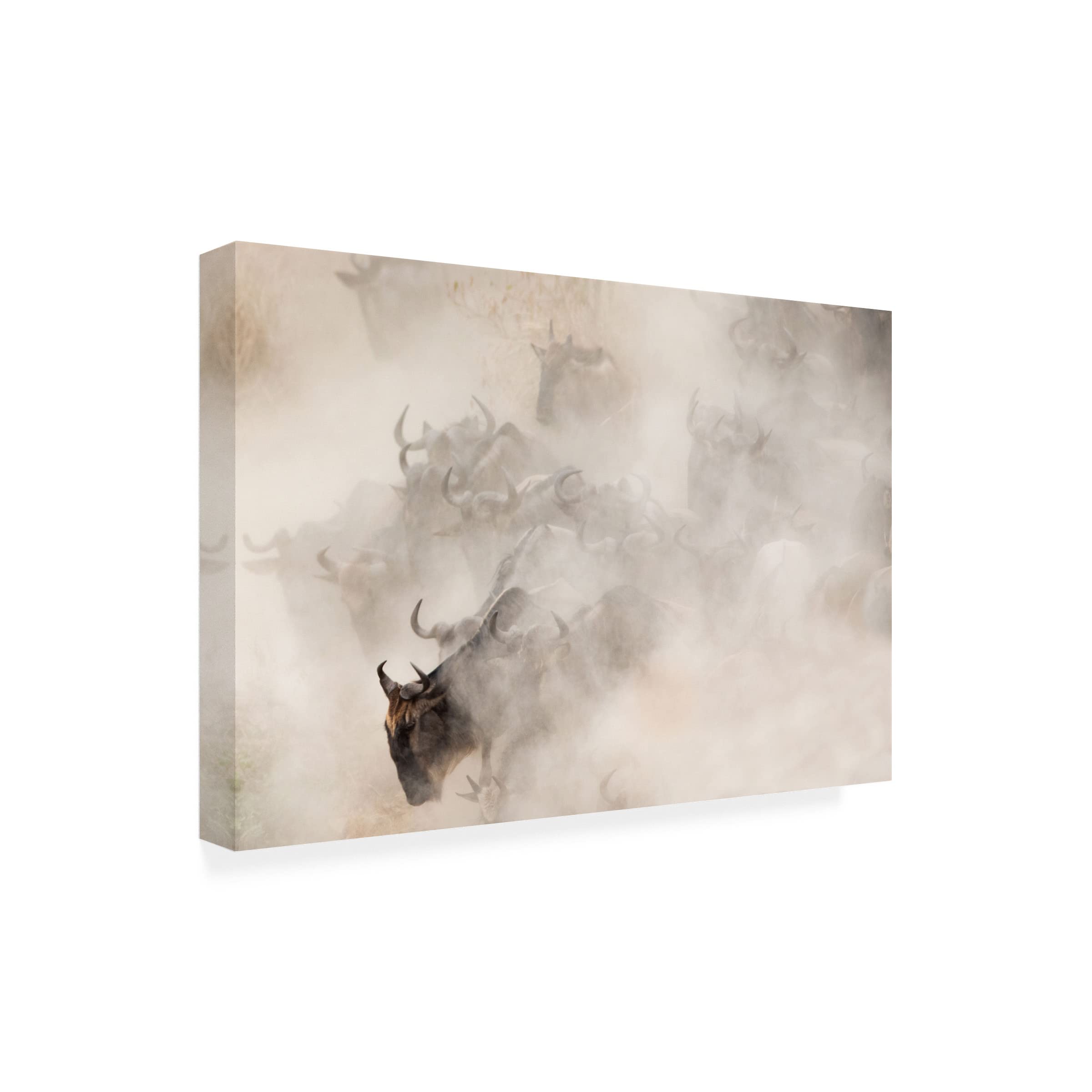 Trademark Fine Art 'Dust' Canvas Wall Art Print by Valerio Ferraro - Modern Abstract Painting for Living Room, Bedroom & Office Decor