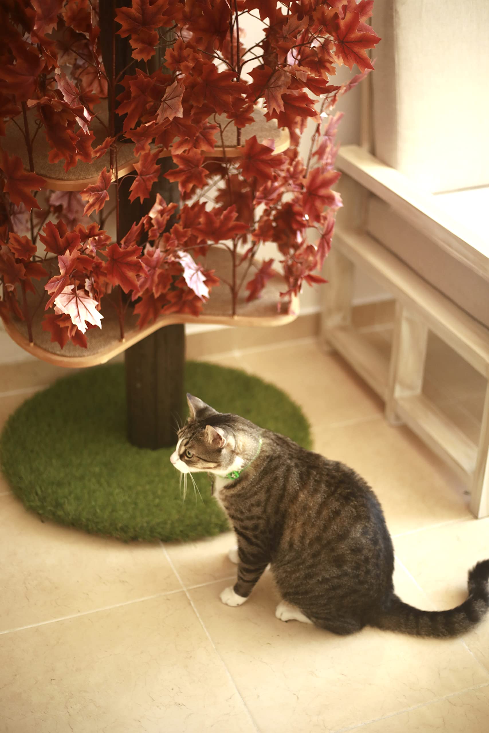 Premium On2 Pets Cat Tree with Natural Leaves - Multi-Level Cat Condo & Activity Center for Indoor Cats - Made in USA - Perfect for Play, Rest & Climbing in Small Spaces