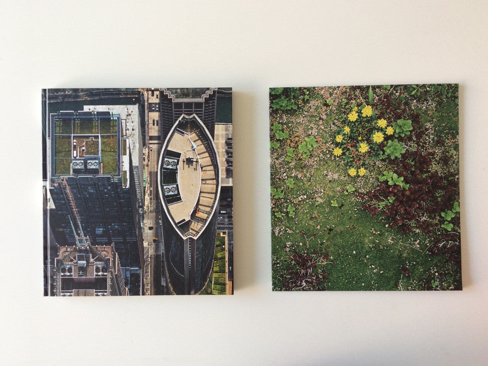 Brad Temkin: Rooftop Photography Book - Urban Landscape Art & Architecture Photography | Perfect for Photography Enthusiasts, Art Collectors & Coffee Table Decor