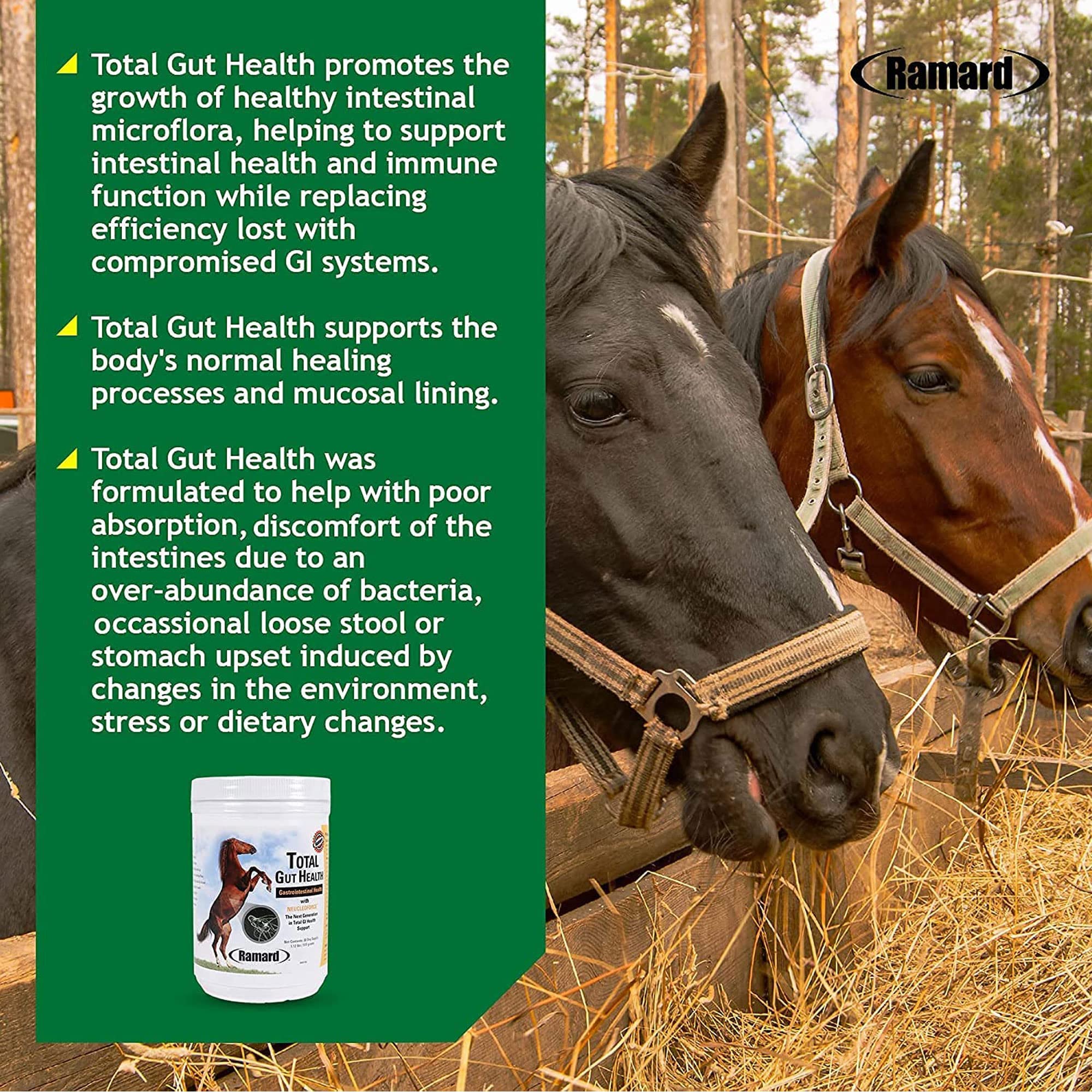 Premium Equine Probiotics for Horses - Total Gut Health Digestive Support Supplement with Vitamins | Gastric Relief & Optimal Digestion | 1.12lb (30-Day Supply) | Ideal for Performance Horses, Senior Horses & Digestive Issues