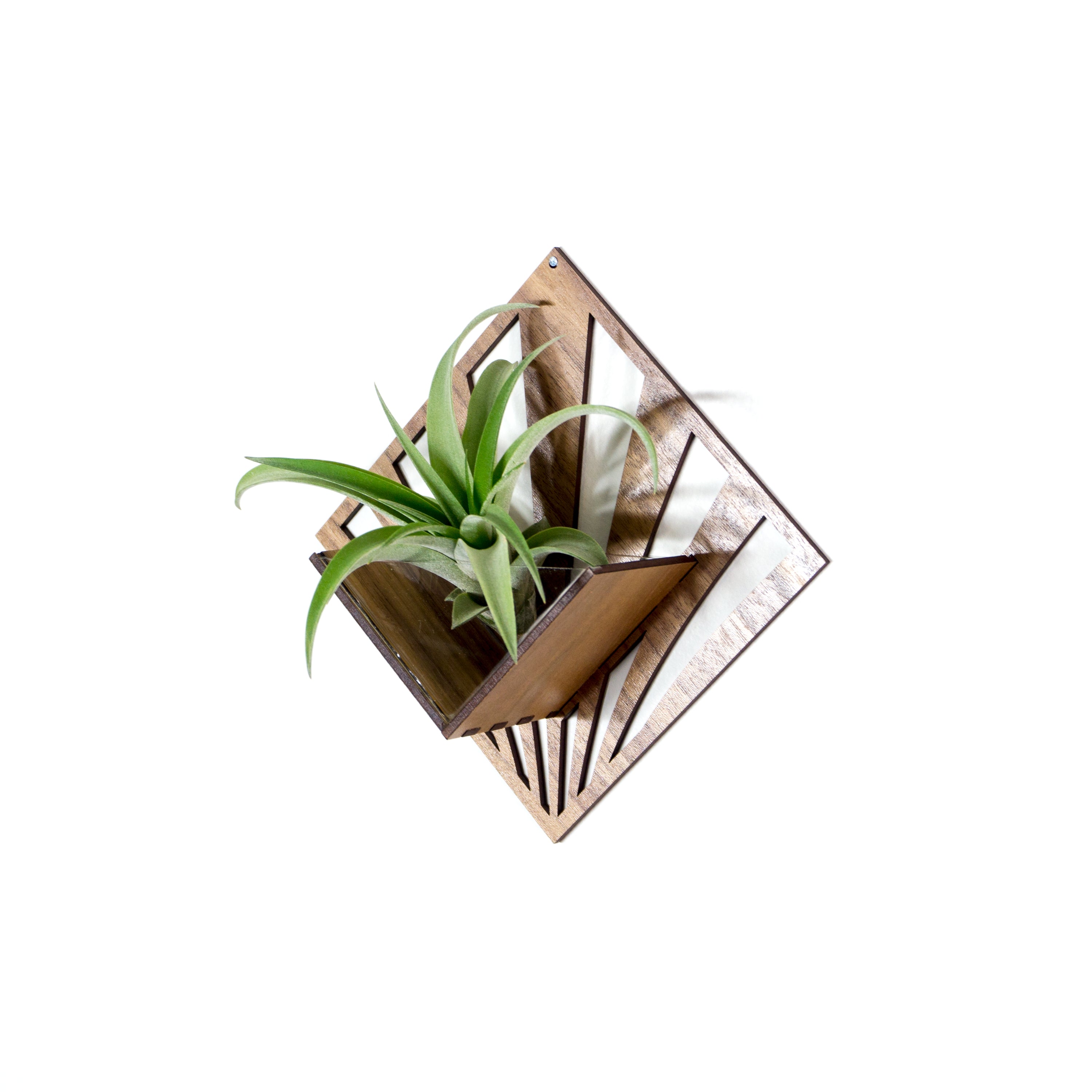 Handmade Wooden Quadrate Wall Planter Set of 2 - Air Plant Holder & Mounted Hanger Display for Tillandsia | Rustic Home Decor, Unique Plant Lover Gift Idea for Living Room, Bedroom or Office Decor