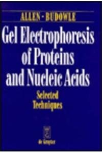 Protein & Nucleic Acid Gel Electrophoresis Kit - Laboratory DNA/RNA Analysis Tools for Molecular Biology Research & Diagnostics