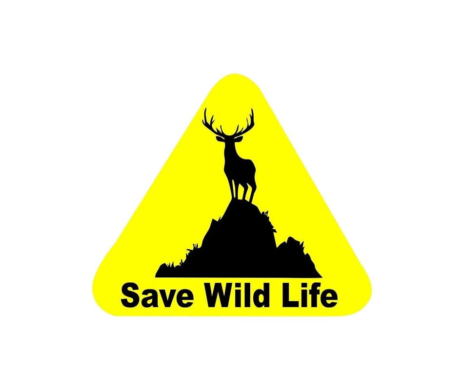 LYOMAN® Wildlife Car Decals - Exterior Vinyl Stickers for Cars, Trucks & SUVs - Pack of 1 - Perfect for Nature Lovers & Outdoor Enthusiasts