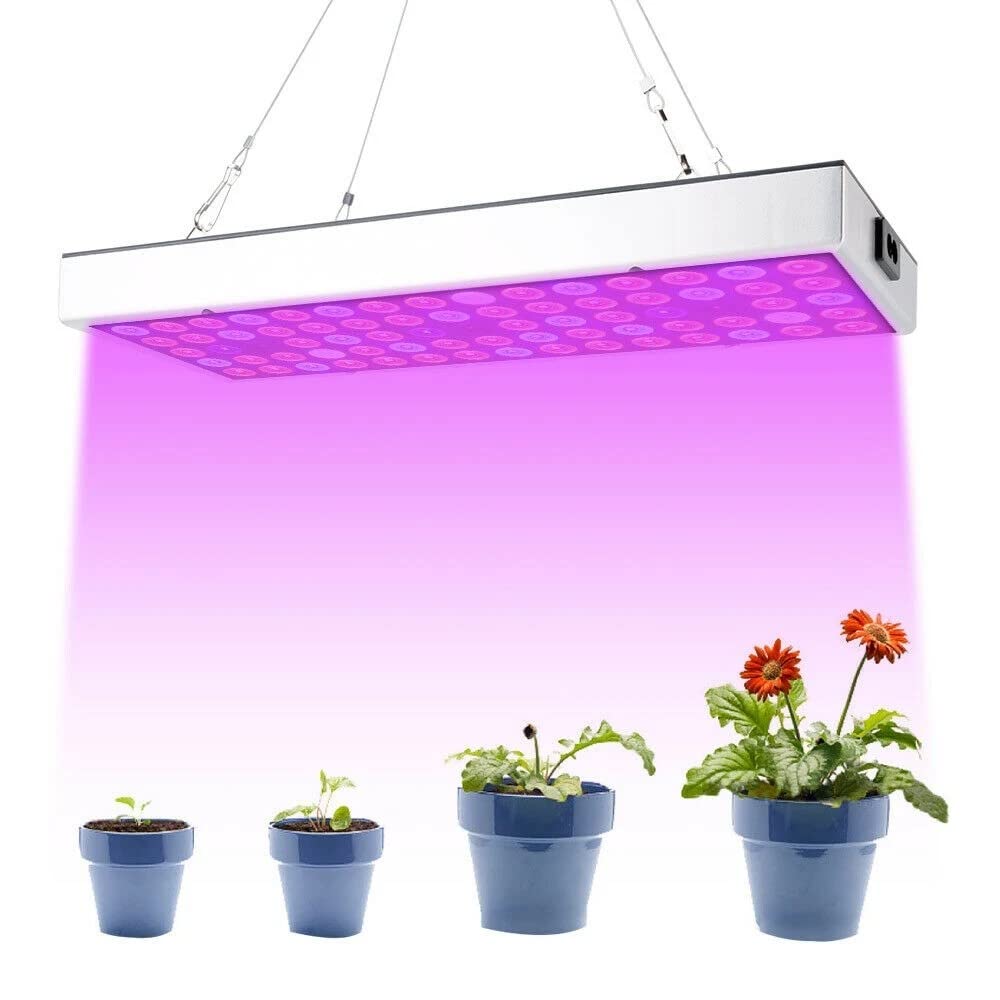 HDGFYTOR 1000W Full Spectrum LED Grow Light with 75 LEDs - Indoor Hydroponic Plant Growing Lamp for Vegetables, Herbs & Flowers | Perfect for Home Gardening, Greenhouse & Indoor Farming