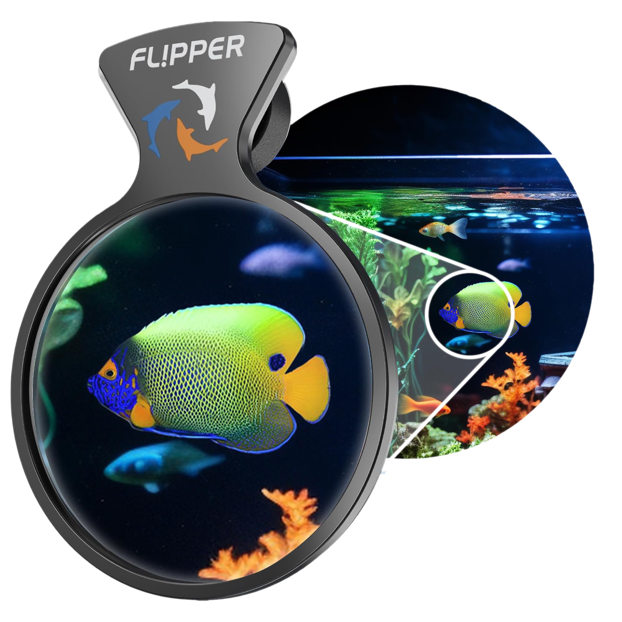 Flipper DeepSee Viewer 3
